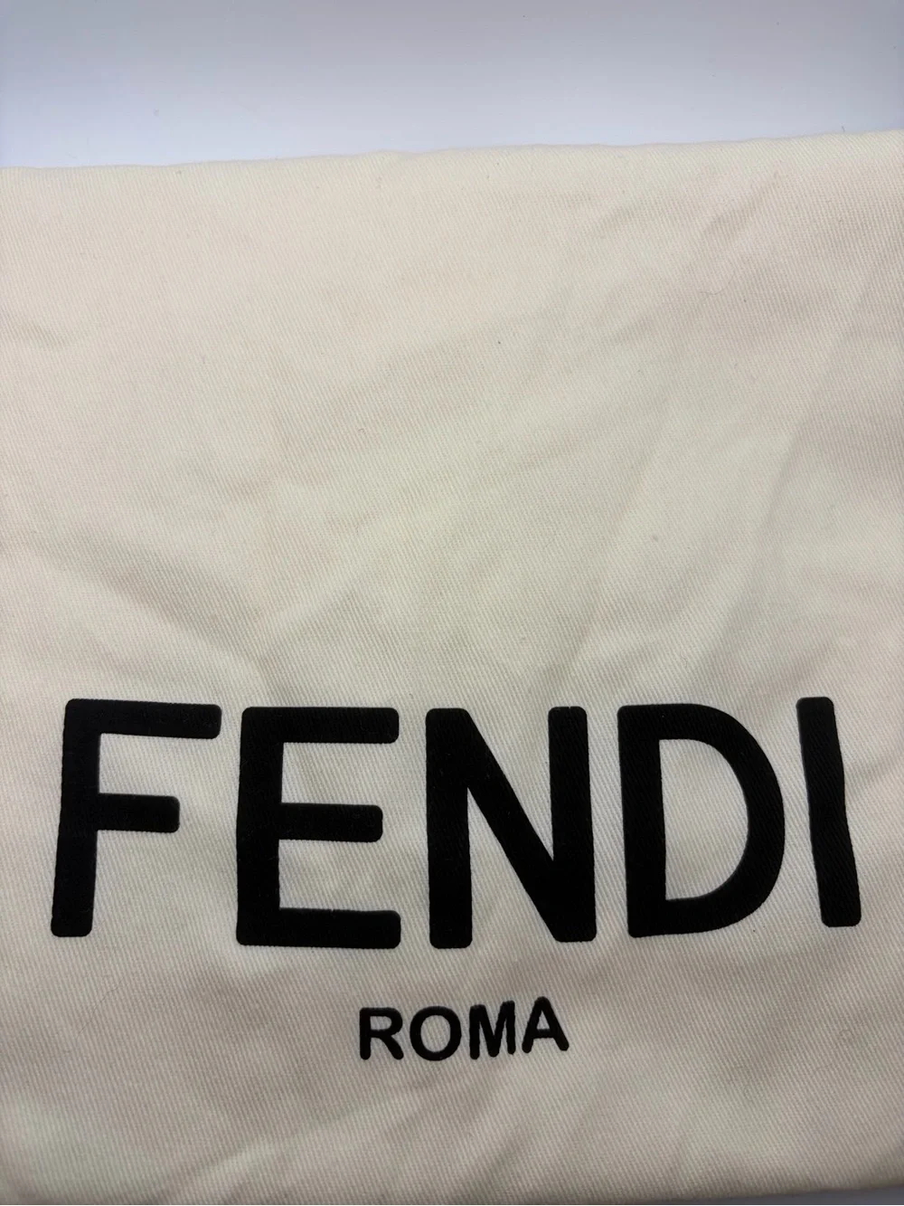 Fendi | Bags | Fendi Cream Canvas Dust Bag With Black Roma  display picture 2